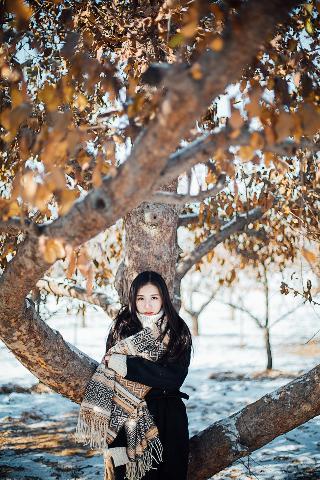 以爱为营电视剧在线观看免费版