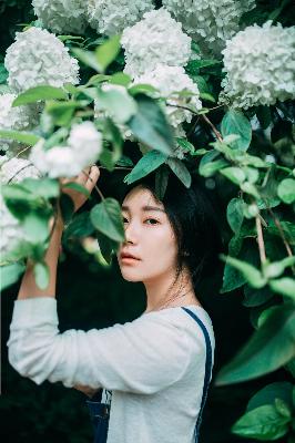 丁香花高清在线观看完整