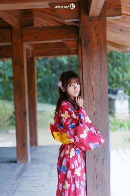 国产免费观看高清电视剧帅哥