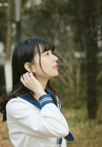 国产剧免费观看完整版高清