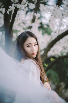 星空无限传媒在线观看电视剧