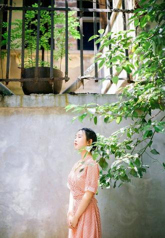 电影荷兰姑娘们