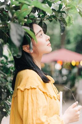 片子免费高清在线观看手机电视剧