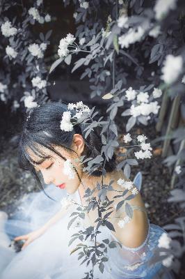 牧神记动漫在线观看全集免费播放