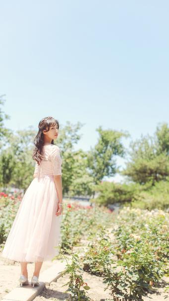 黎明之前电视剧免费观看完整版