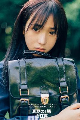 平凡的世界电视剧免费观看