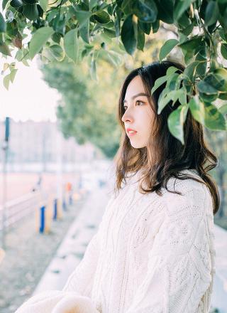 天使与龙的轮舞