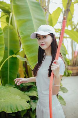 二哈和他的白猫师尊