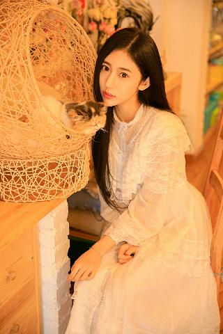 树影迷宫电视剧免费播放