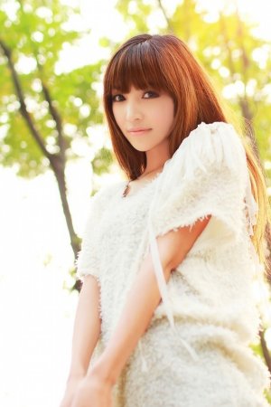 陈情令电视剧免费观看完整版高清