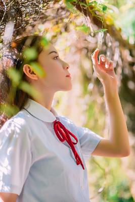 锦衣之下电视剧全集免费观看