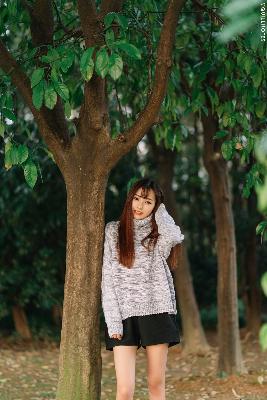 完美世界动漫在线观看全集免费播放