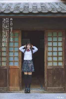 骄阳似我电视剧免费观看完整版