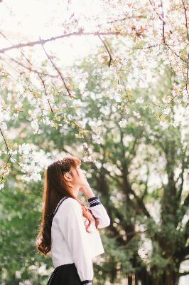 知否知否应是绿肥红瘦电视剧全集免费