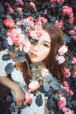 2025热播古风短剧免费看