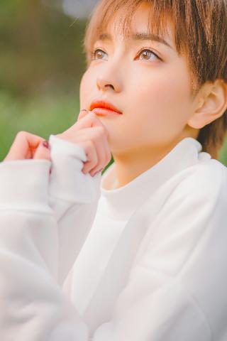 扫黑风暴电视剧在线观看免费完整版