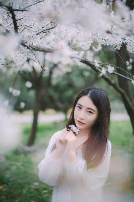 知否知否应是绿肥红瘦全集