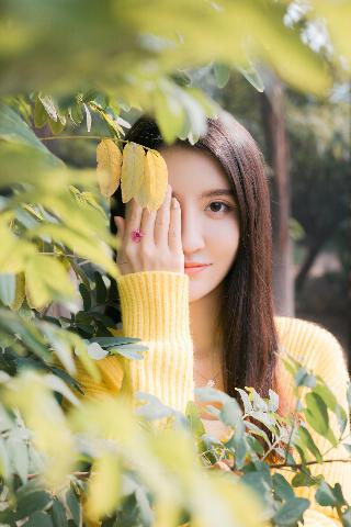 老九门电视剧全集免费观看高清