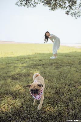 聚会的目的在线