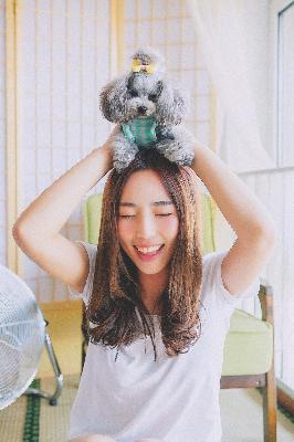 猫女的诅咒在线观看