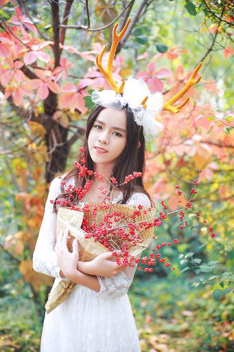 熊出没之重启未来免费观看完整版