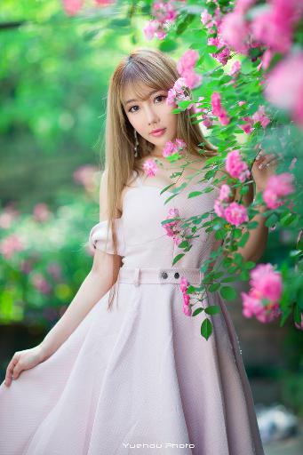 美景之屋在线观看