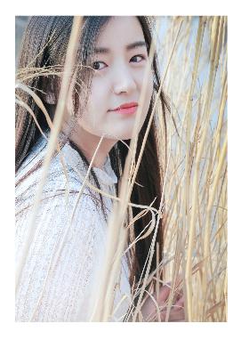 韶华若锦电视剧免费观看全集在线播放