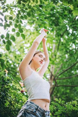 天才基本法电视剧免费观看