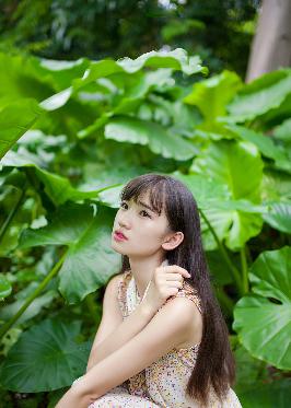 青楼十二房在线观看免费版电视剧全集