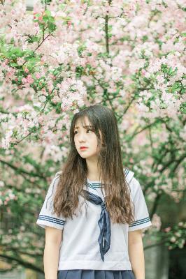 斗破苍穹年番在线观看免费观看完整版