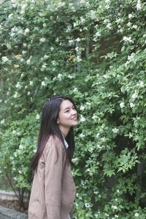 隐锋电视剧免费观看全集高清