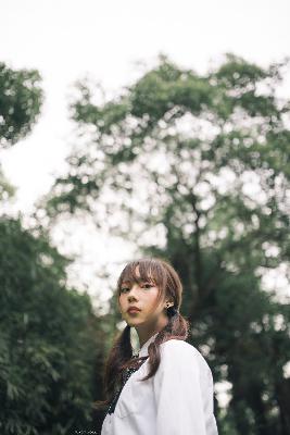 2026新澳正版资科免费实